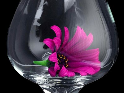 Glass macro margarita