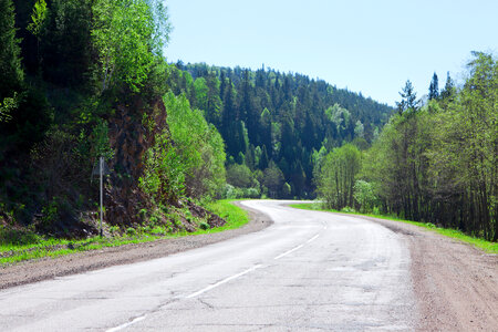 Road in forest photo