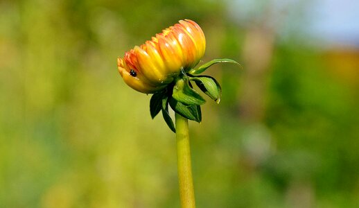 Spring affection romantic