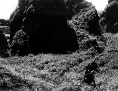 Brush island 