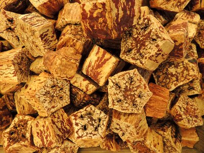 Bud star nut texture