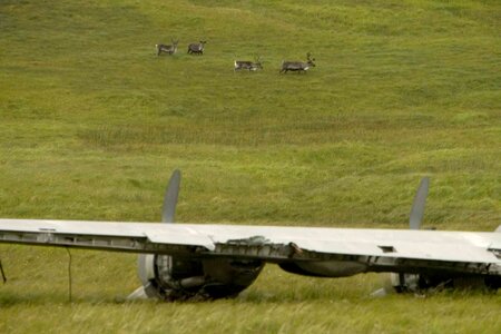 Airplane background foreground