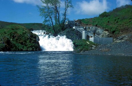 Fish fish ladder ladder