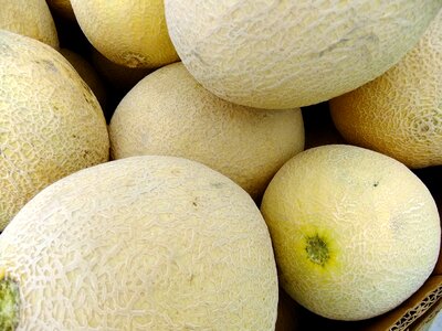 Melon fresh healthy