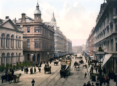 Royal avenue road horse drawn carriage photo