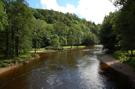 landscape with mountains trees and a river in front photo