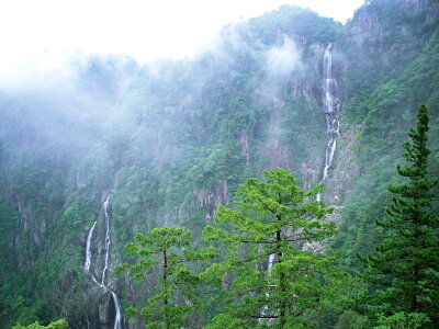 Beautiful summer landscape in the mountains. photo