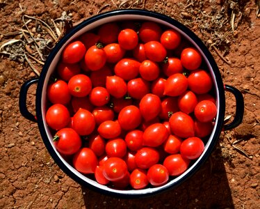 Berry calorie delicious