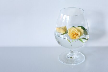 Glass flower deco photo