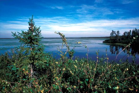 Lake  