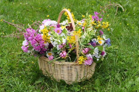 Gift summer joy
