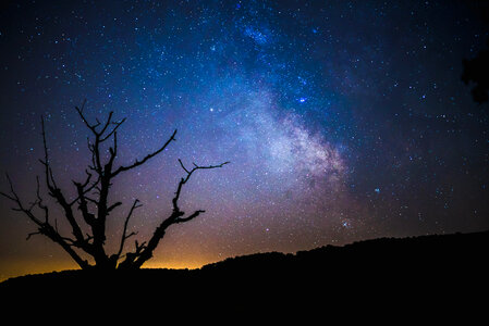 Stars, night, and galaxy over a old tree in Frenkendorf, Switzerland photo