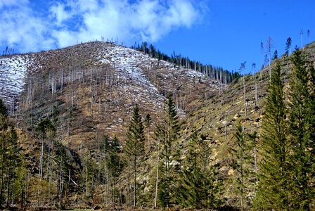 Spring tourism western tatras photo