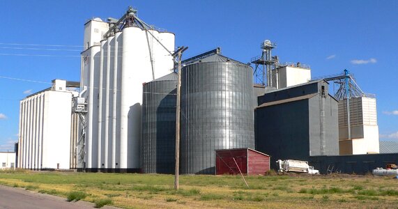 Grain plant business