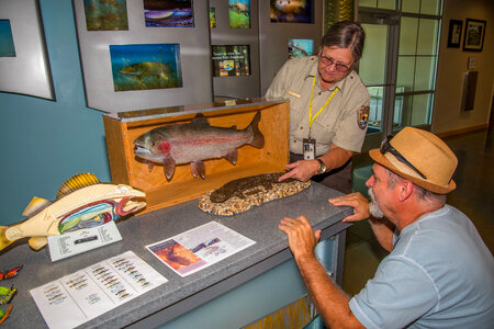Visitor services specialist shows visitor fish and hellbender displays