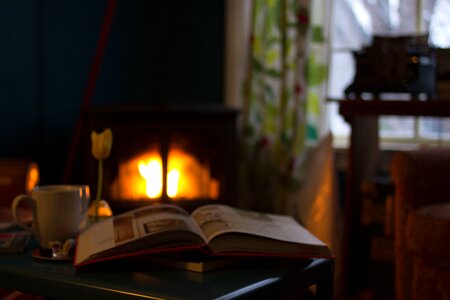Book cup fireplace