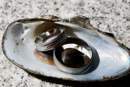 Gold seashell wedding ring