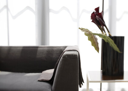 Sofa and Calla Lily flower photo