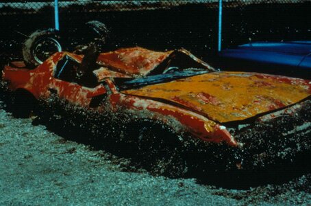 Car orange zebra