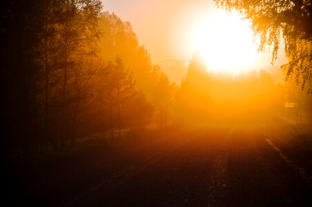 Dusk sunshine shining