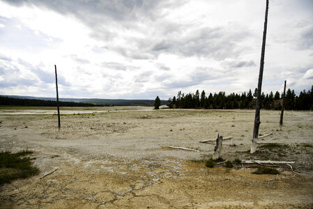 Geyser Plains are Barren
