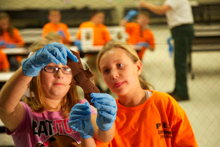 Students learn about bats-1