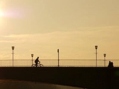 Bridge human profile photo