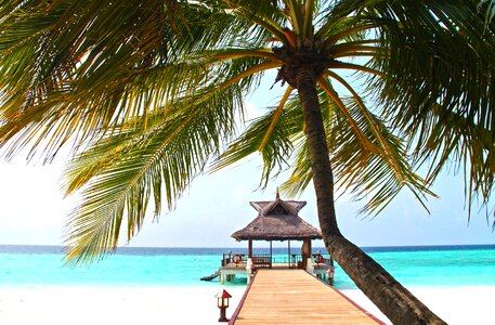 Beach beautiful photo seashore