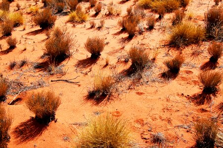 Ground sand drought photo
