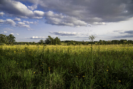 Cherokee Marsh landscape with grasses photo