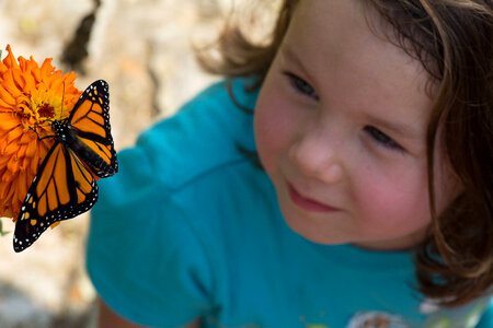 Monarch and child