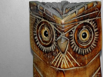 Art design owl