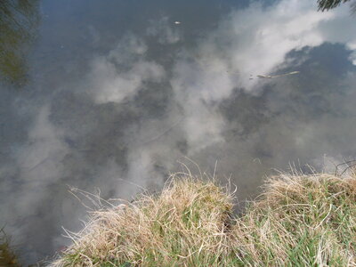 Clouds reflecting in a pond photo