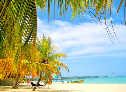 Tropical trees and beach and Jamaica photo