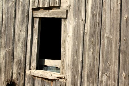 Log cabin hut lapsed photo