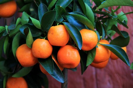 Healthy vitamins orange