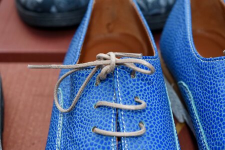 Shoelace blue footwear photo