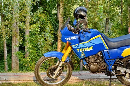 Forest japanese motocross