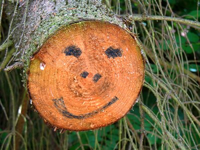 Smile wood tree