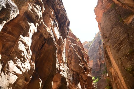 Narrows Zion National Park Utah photo