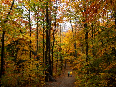 New Hampshire's White Mountains - Autumn Foliage photo