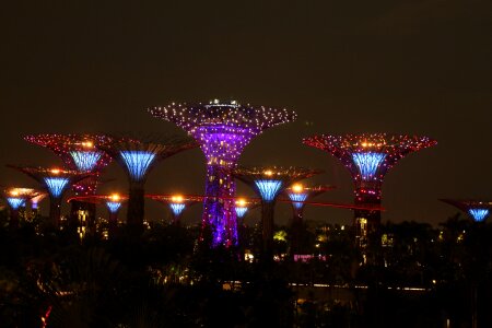 Giant tree asia skyline photo