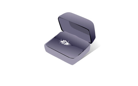 image of wedding rings in a gift box on white background photo