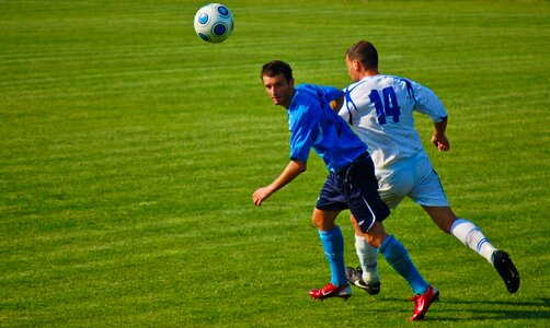 Turf ground sports photo