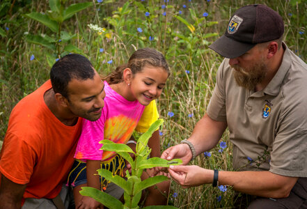 FWS employee shows a young girl (and dad) a Monarch caterpillar-2 photo