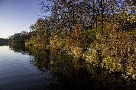 Shoreline with leaves and trees at Le Aqua Na State Park, Illinois