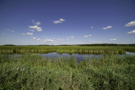 Marsh Pond, landscape, and visitor's center in the distance at Horicon Marsh photo