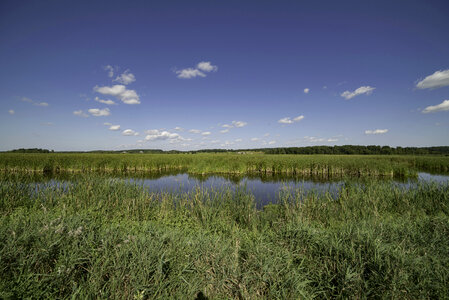 Marsh Pond, landscape, and visitor's center in the distance at Horicon Marsh