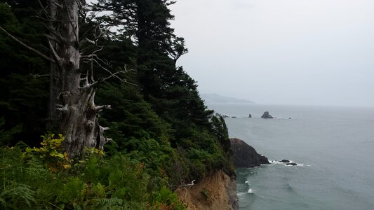 The Oregon Coast and the Pacific Ocean photo