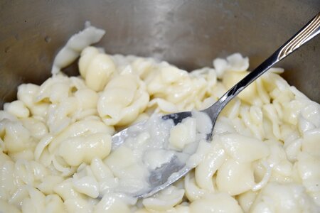 Homemade noodles pasta photo